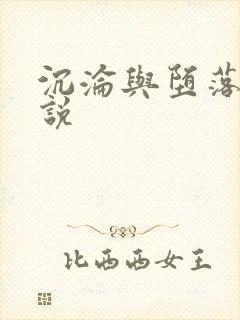 沉沦与堕落的小说