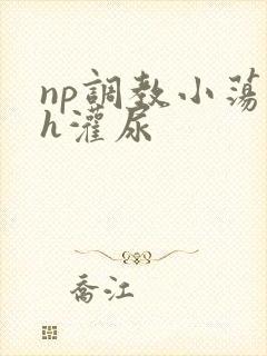 np调教小荡货h灌尿