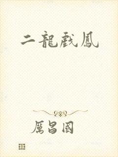 二龙戏凤