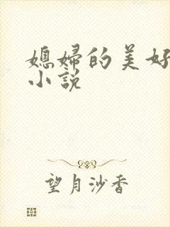 媳妇的美好时代小说