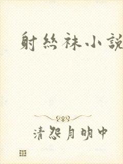 射丝袜小说