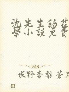 沈先生的花式教学小说免费