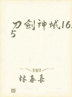 刀剑神域16.5