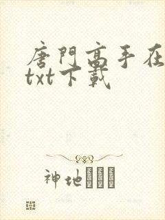 唐门高手在异世txt下载