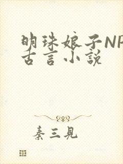 明珠娘子NPC古言小说