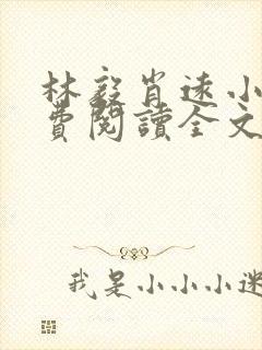 林毅肖远小说免费阅读全文最新章节