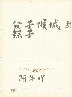 公子倾城 维和粽子