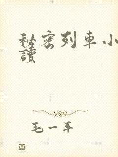 秘密列车小说阅读