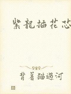 紫龙插花芯方正