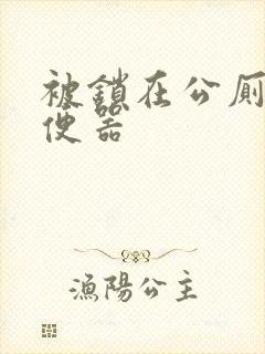 被锁在公厕当坐便器