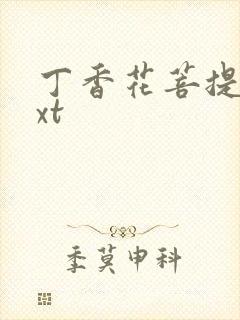 丁香花菩提树txt