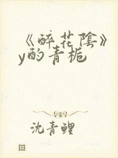 《醉花阴》 by酌青栀