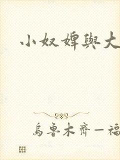 小奴婢与大少爷