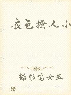 夜色撩人小说