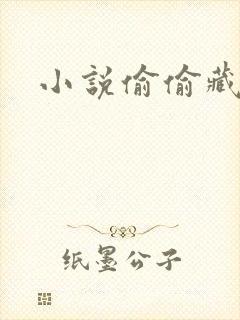 小说偷偷藏不住