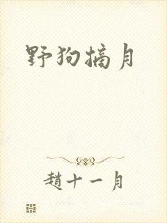 野狗摘月