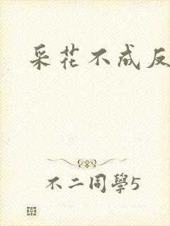 采花不成反被采