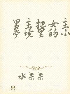 男主把女主拖进梦境里的小说