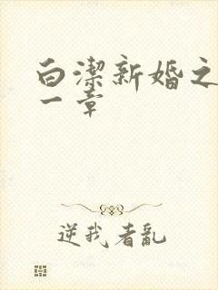 白洁新婚之夜第一章