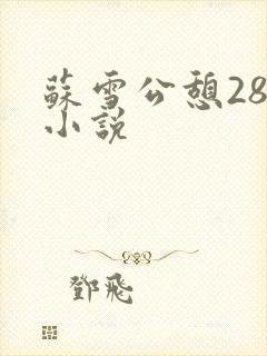 苏雪公憩28篇小说