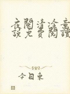 夜阑清冷意欢小说免费阅读