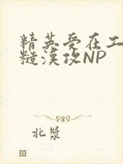 精英受在工地被糙汉攻NP
