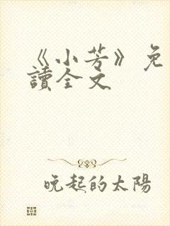 《小芳》免费阅读全文