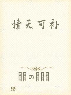 情天可补
