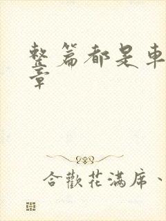 整篇都是车的文章