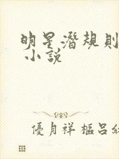 明星潜规则之皇 小说