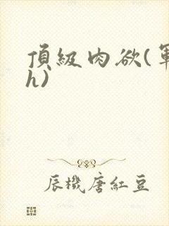 顶级肉欲(军高h)