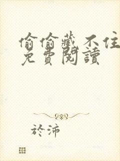 偷偷藏不住小说免费阅读