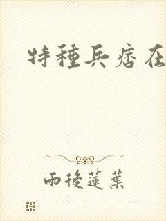 特种兵痞在都市