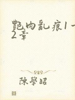 艳肉乱痕1一12章