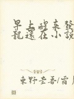 早上醒来发现巨龙还在小说