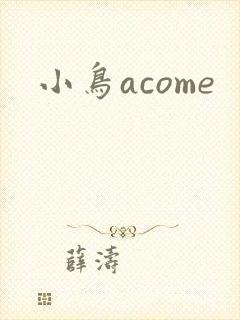小鸟acome
