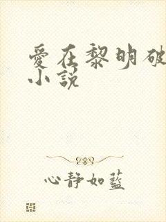 爱在黎明破晓前小说