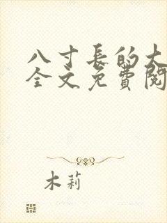 八寸长的大宝贝全文免费阅读