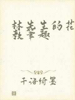 林先生的花式管教笔趣