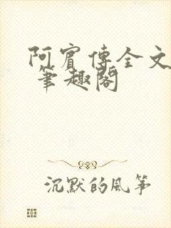 阿宾传全文阅读 笔趣阁