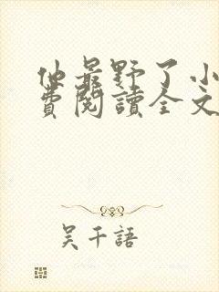 他最野了小说免费阅读全文