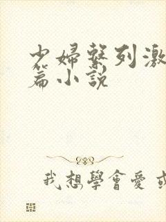 少妇系列激情短篇小说