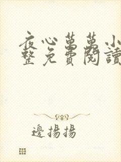 夜心万万小说完整免费阅读全文