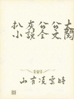 扒灰公公大杂烩小说全文阅读