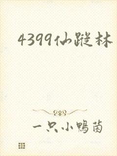 4399仙踪林