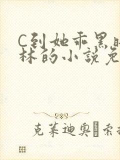 C到她乖黑暗森林的小说免费