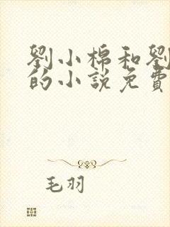 刘小棉和刘易文的小说免费阅读