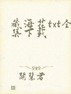 藏海花txt全集下载