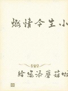 燃情今生小说