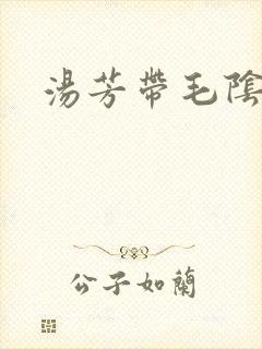汤芳带毛阴部